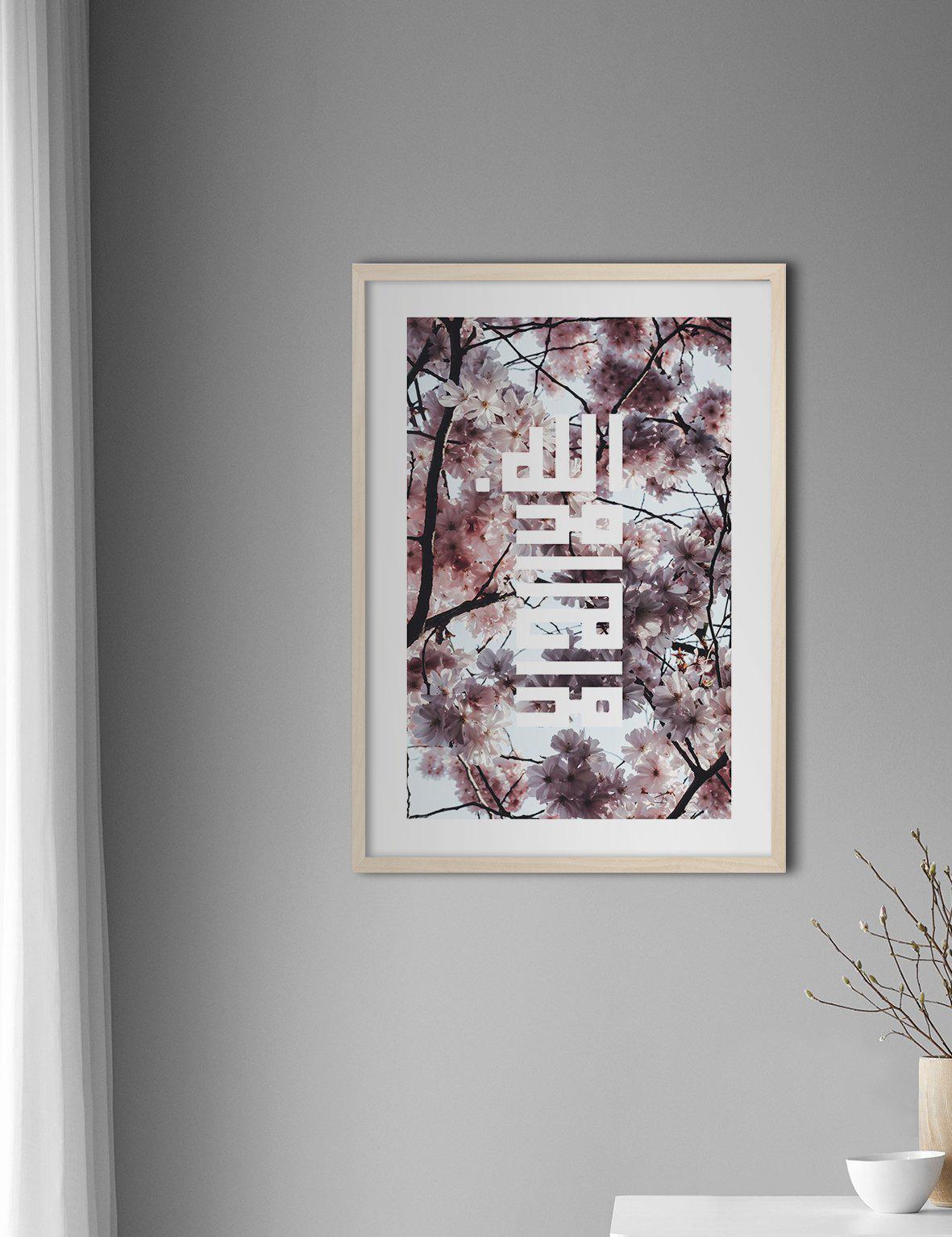 Sakura Shahada - Doenvang
