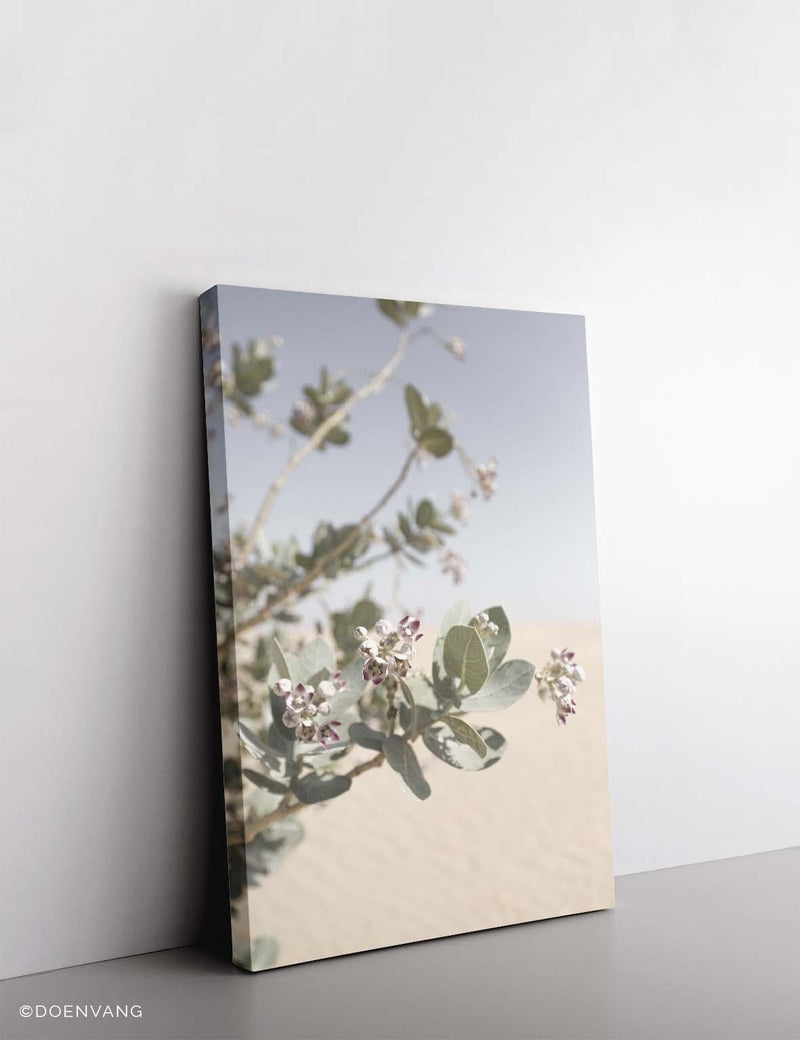 CANVAS | Desert Flower #1 - Doenvang