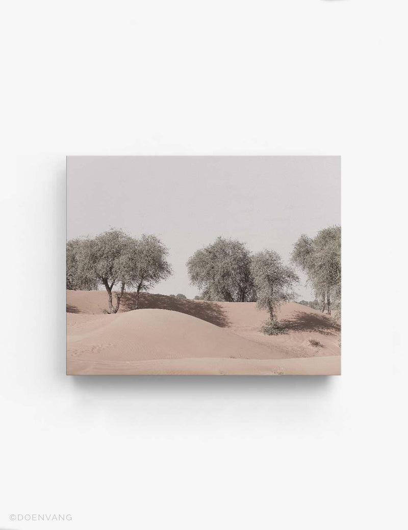 CANVAS | Desert Trees #2 | UAE 2021 - Doenvang