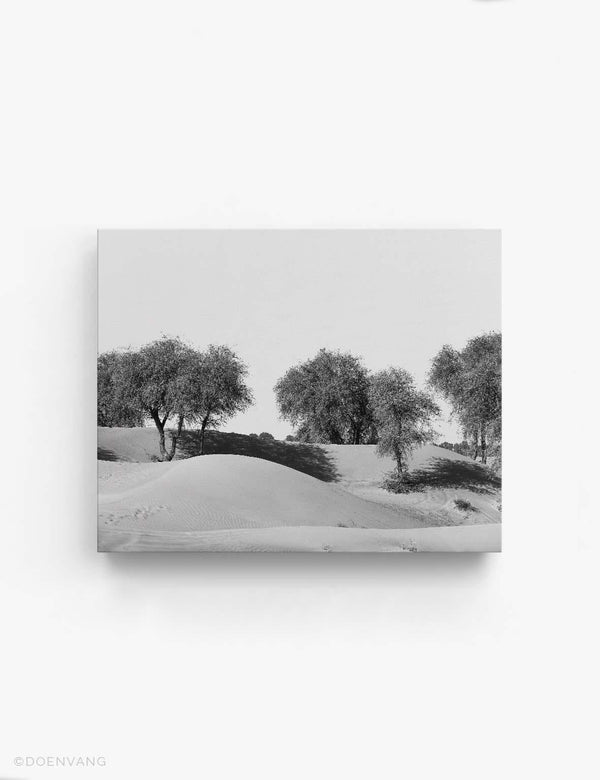 CANVAS | Desert Trees #3 | UAE 2021 - Doenvang