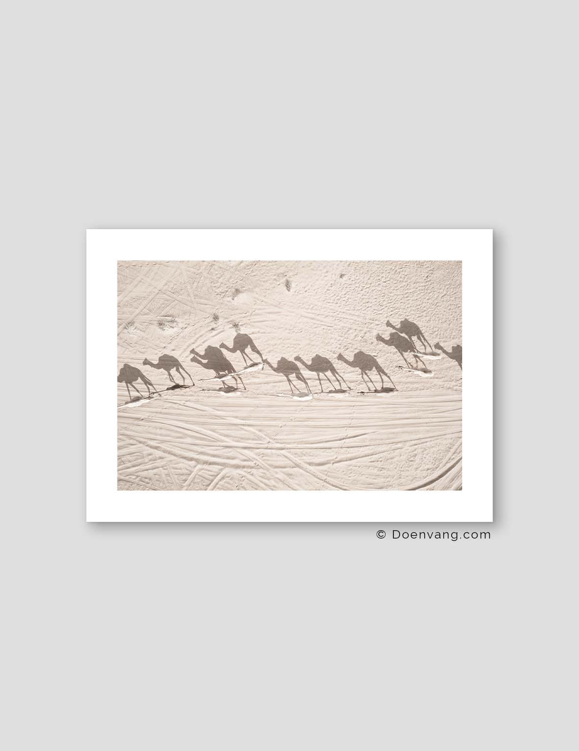 Desert Camels, Drone | UAE 2021 - Doenvang