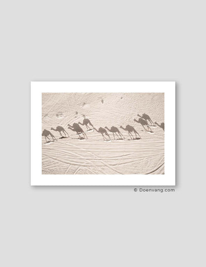Desert Camels, Drone | UAE 2021 - Doenvang