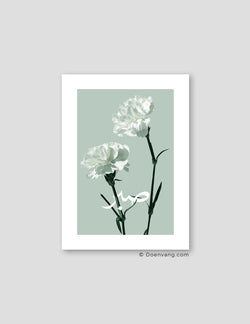 Green Carnation Sabr - Doenvang