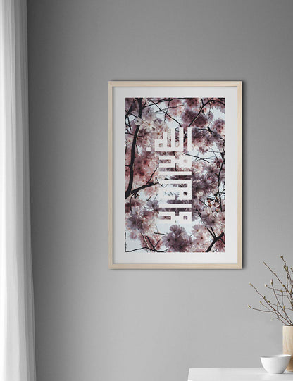 Sakura Shahada - Doenvang