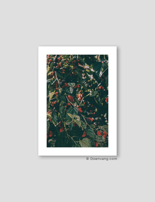 Turkish Mulberries | Turkey 2022 - Doenvang