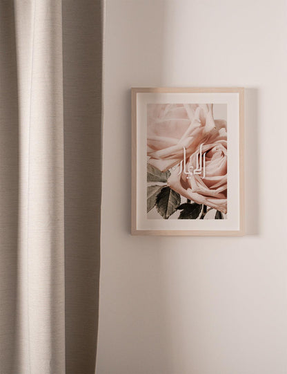 Vintage Rose Al Iman - Doenvang